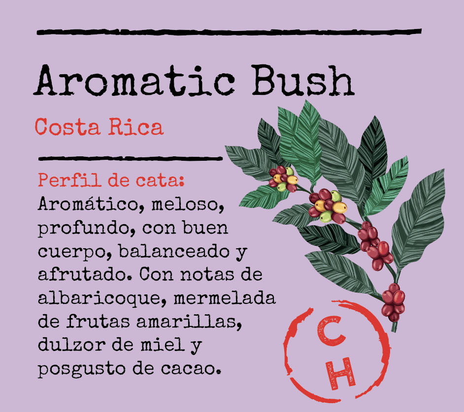 Image of Aromatic Bush