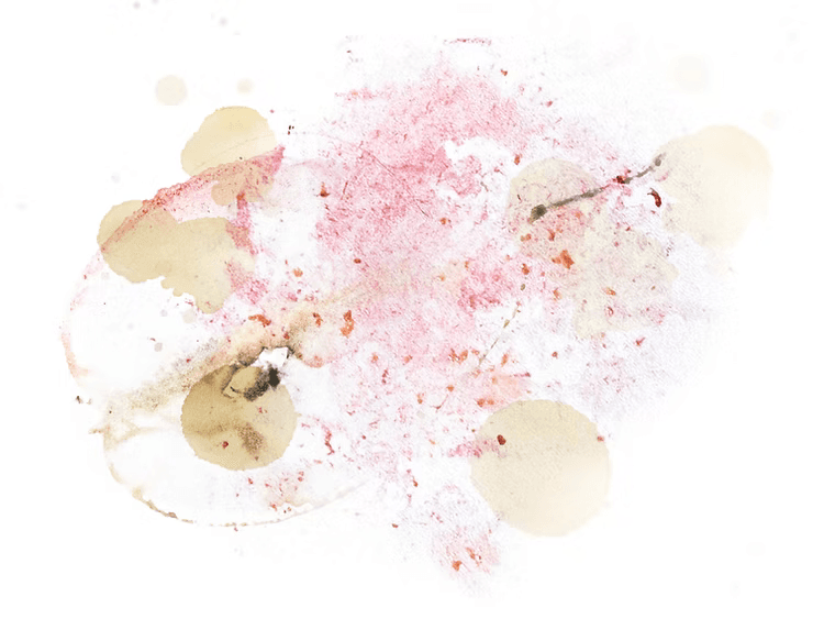 Image of Panama Ninety Plus Geisha Cleolic Folio