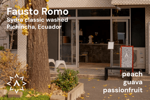 Image of Fausto Romo