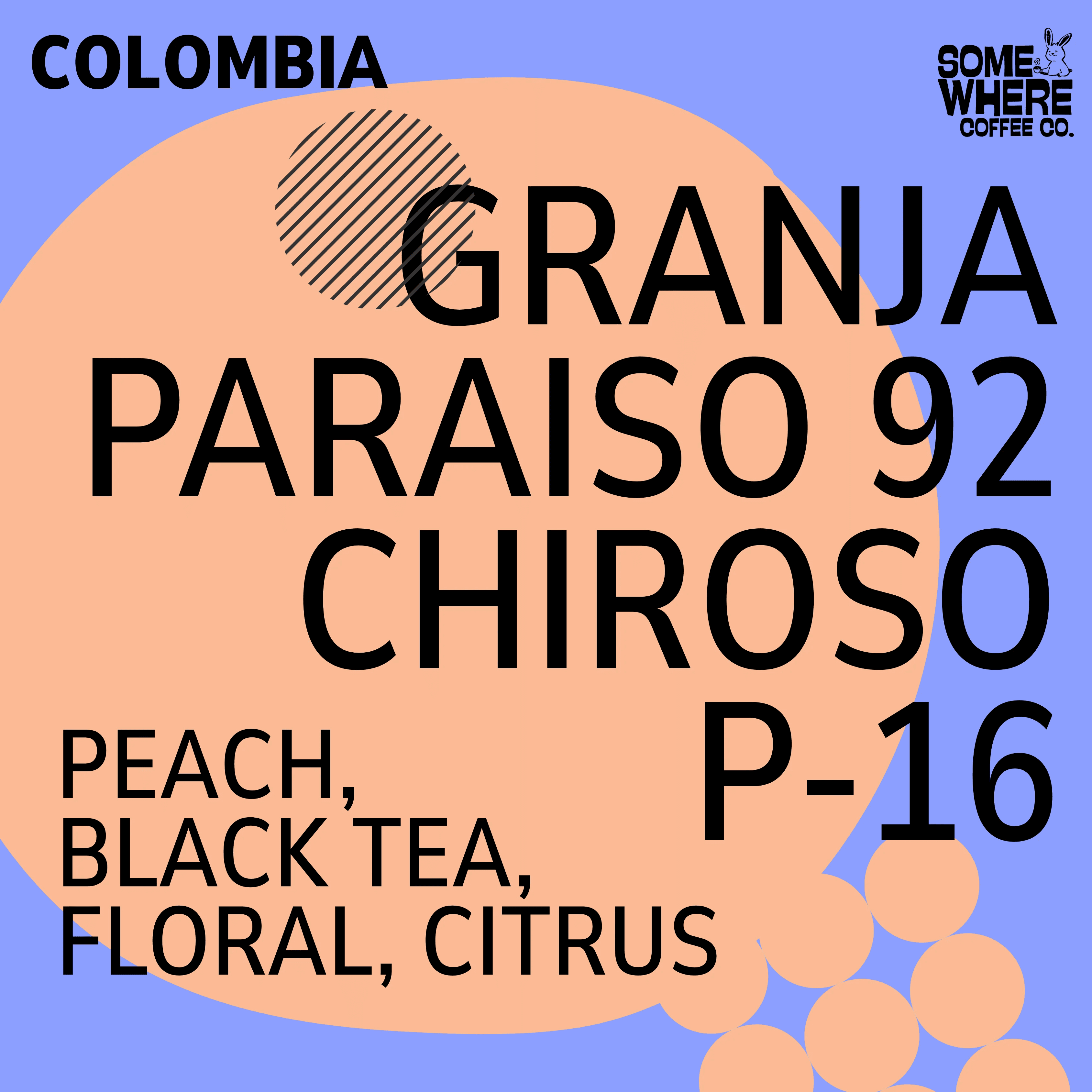 Image of Colombia Granja Paraiso 92 Chiroso P-16