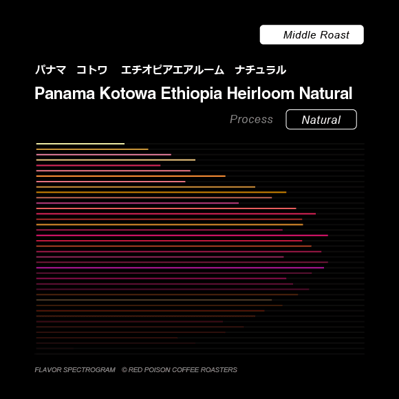 Image of Panama Kotowa Ethiopia Heirloom Natural Middle Roast