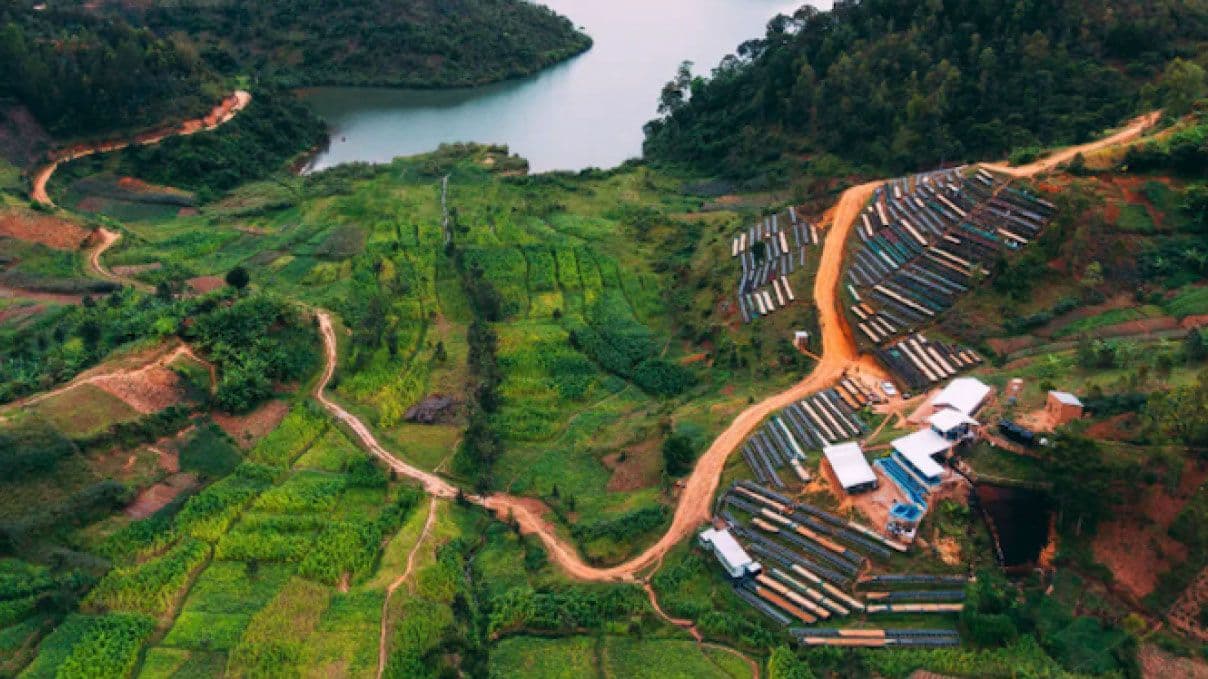 Image of Triunfo Verde, Kilimbi & Finca Amalieth Natural