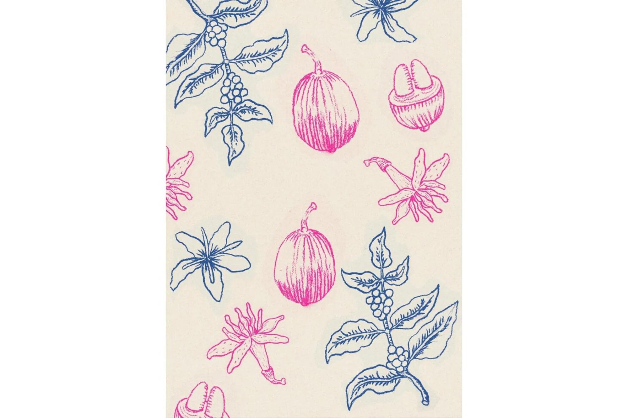 Image of Pepe Jijon Nature Ecuador