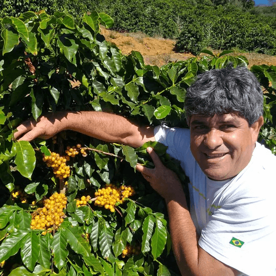 Image of Brazil Sitio Da Torre