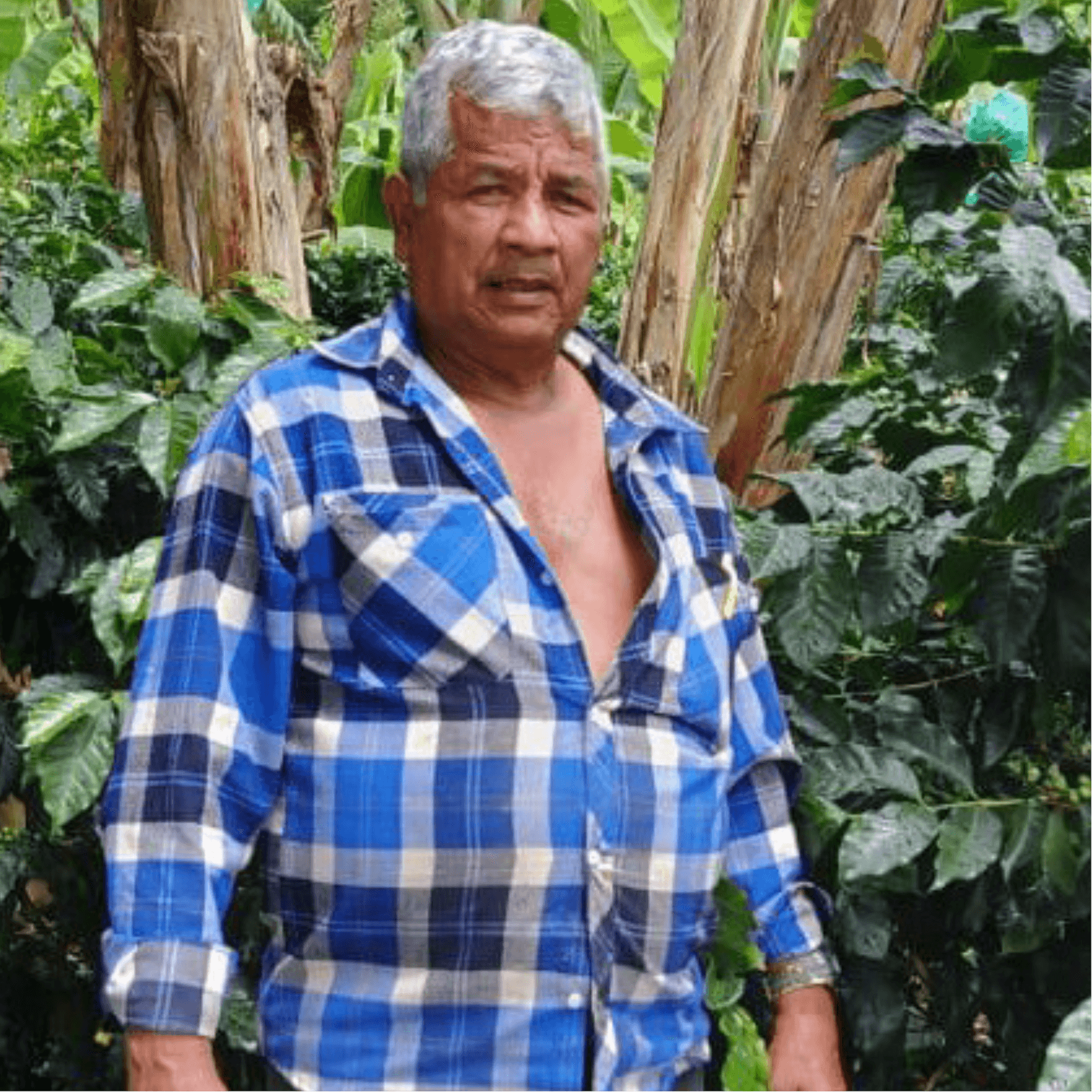 Image of Colombia El Rosario - Gilberto Ramos