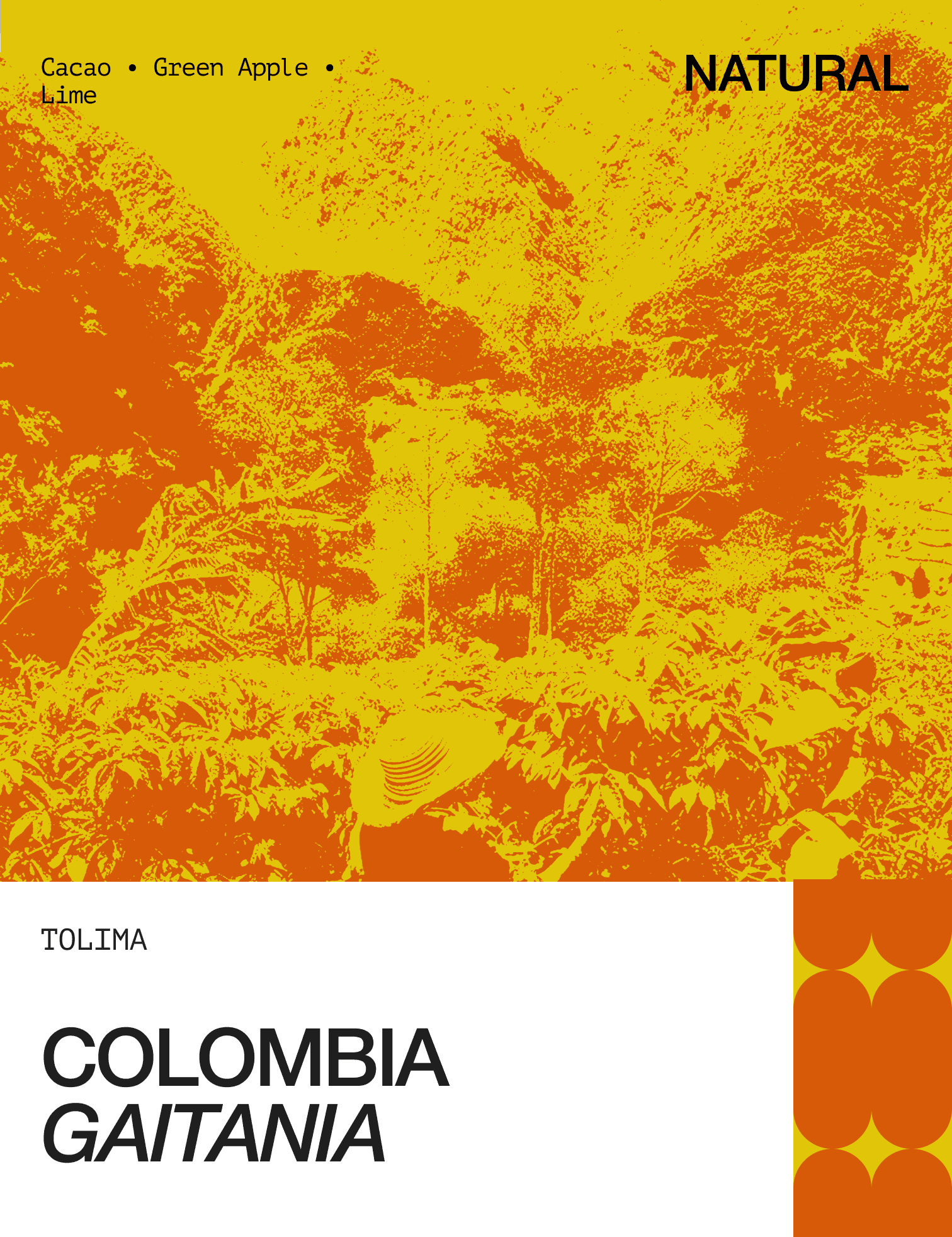 Image of Colombia Gaitania