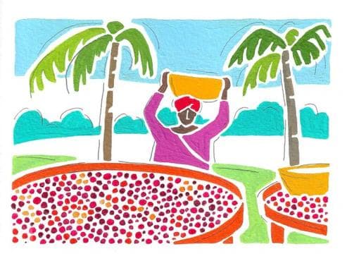 Image of Ugandan Kalingwe