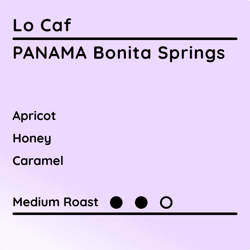 Image of Low Caf Panama Bonita Springs