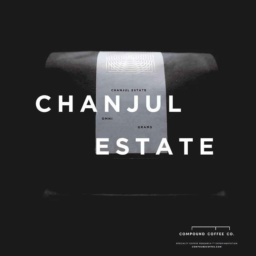 Image of Mexico Chanjul Estate (OMNI)