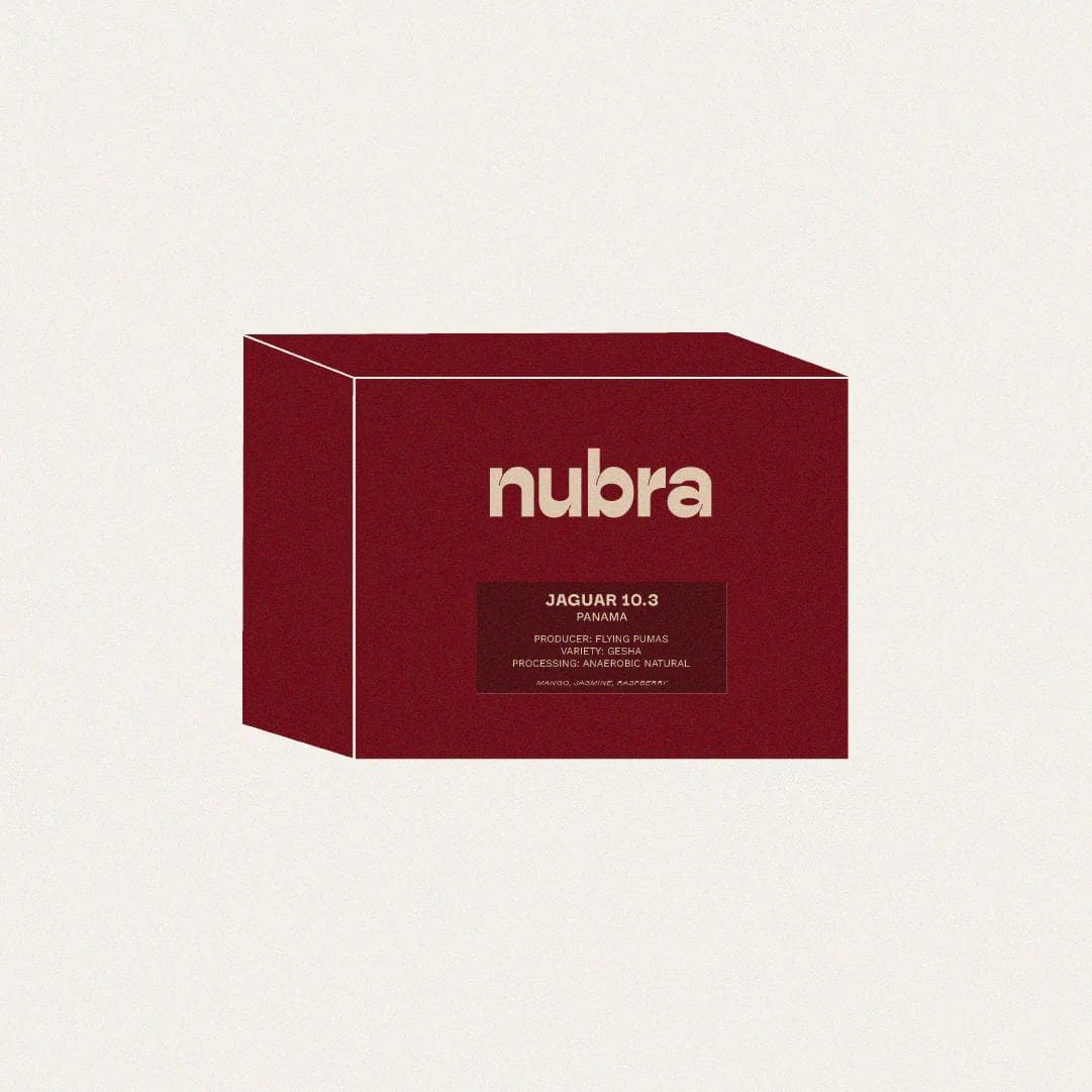 Image of Panama - Flying Pumas Jaguar