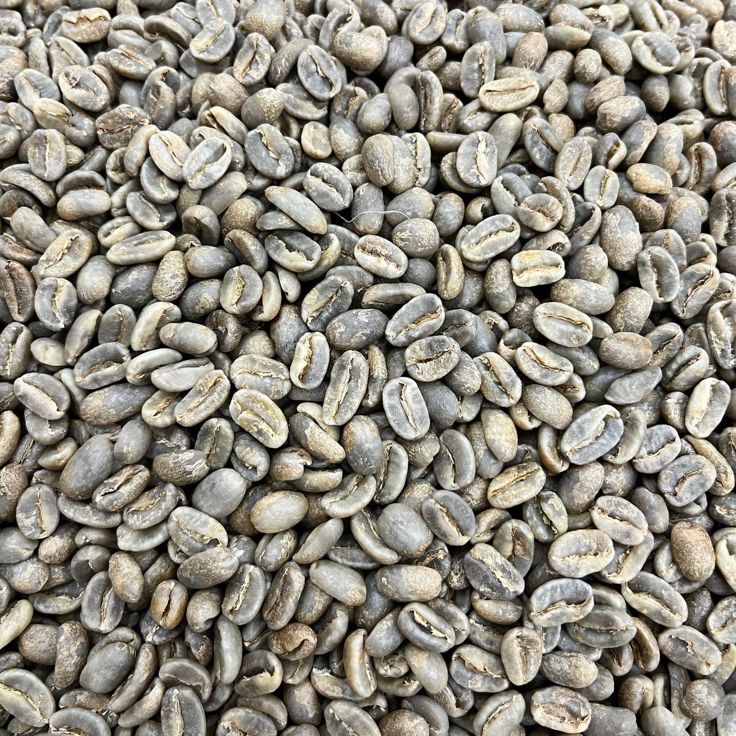 Image of Flor Blanca Gesha - Colombia washed Green