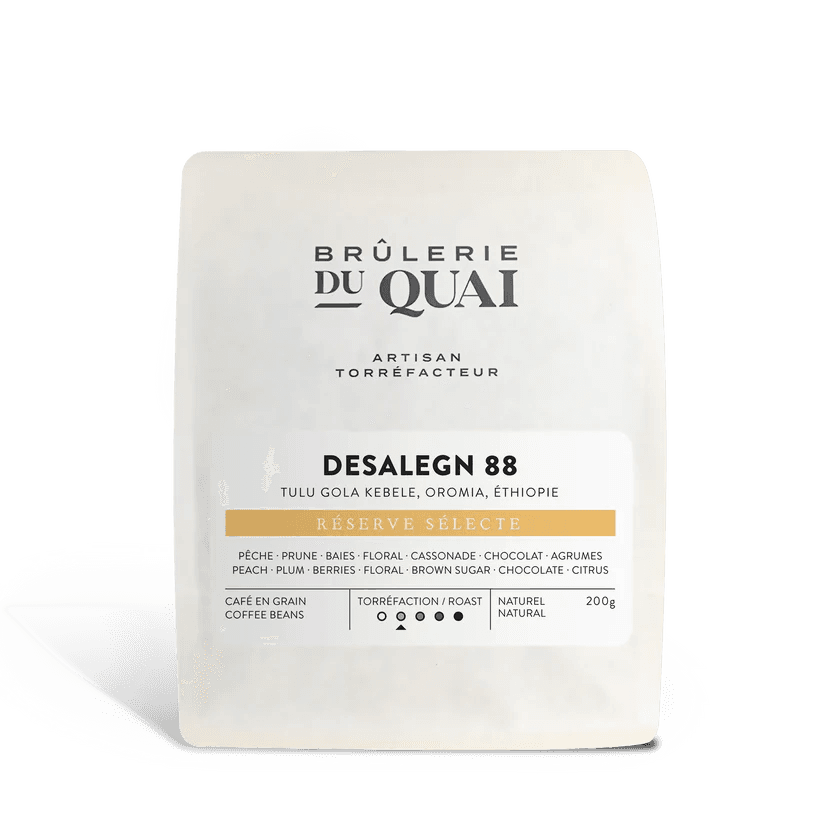 Image of Ethiopia - desalegn 88