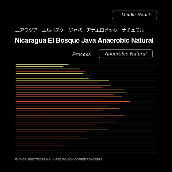 Image of Nicaragua El Bosque Java Anaerobic Natural