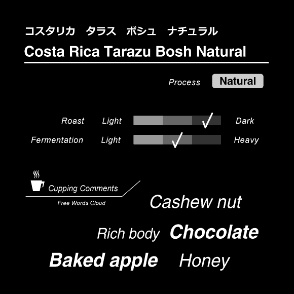 Image of Costa Rica Tarazu Bosh Natural