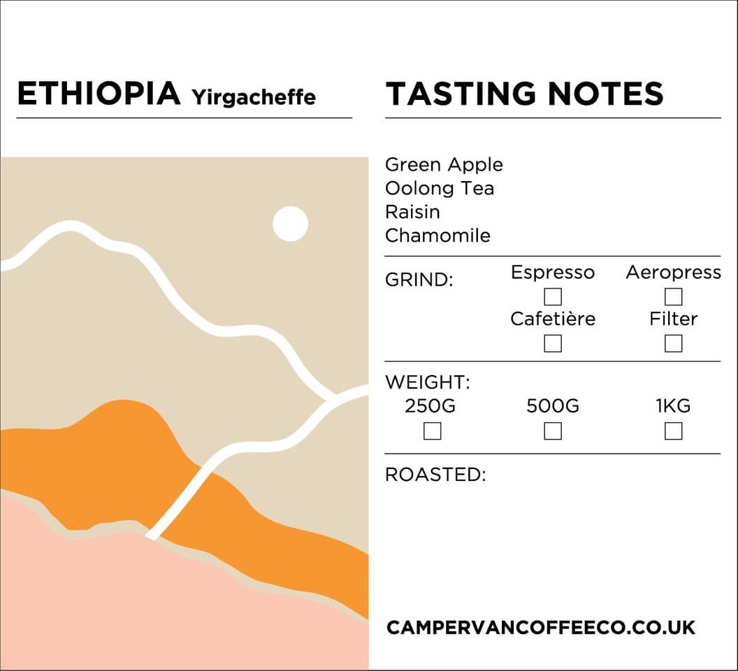 Image of Ethiopian Yirgacheffe Sweetberry