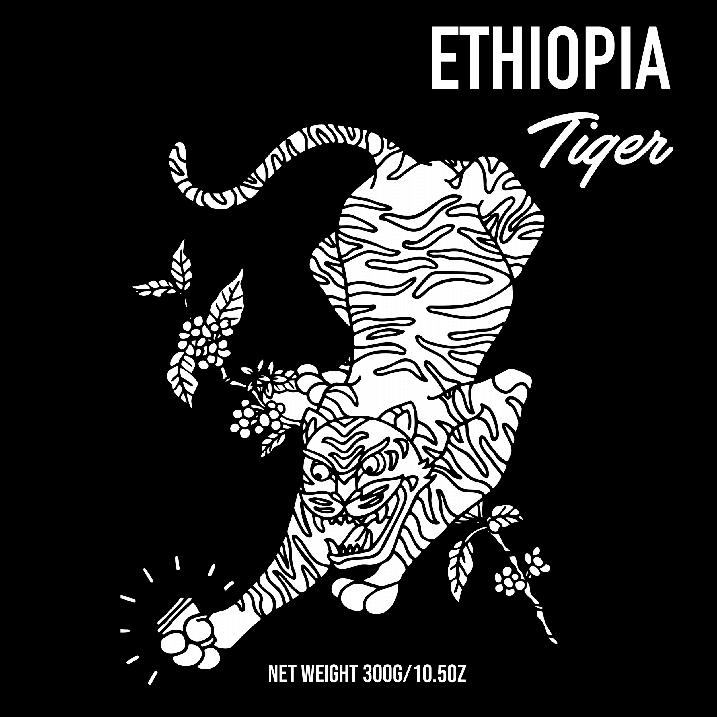 Image of Ethiopia Beshasha