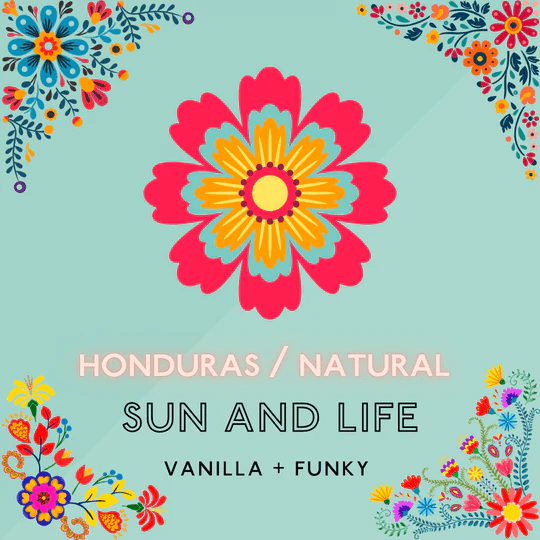 Image of Sun and Life 