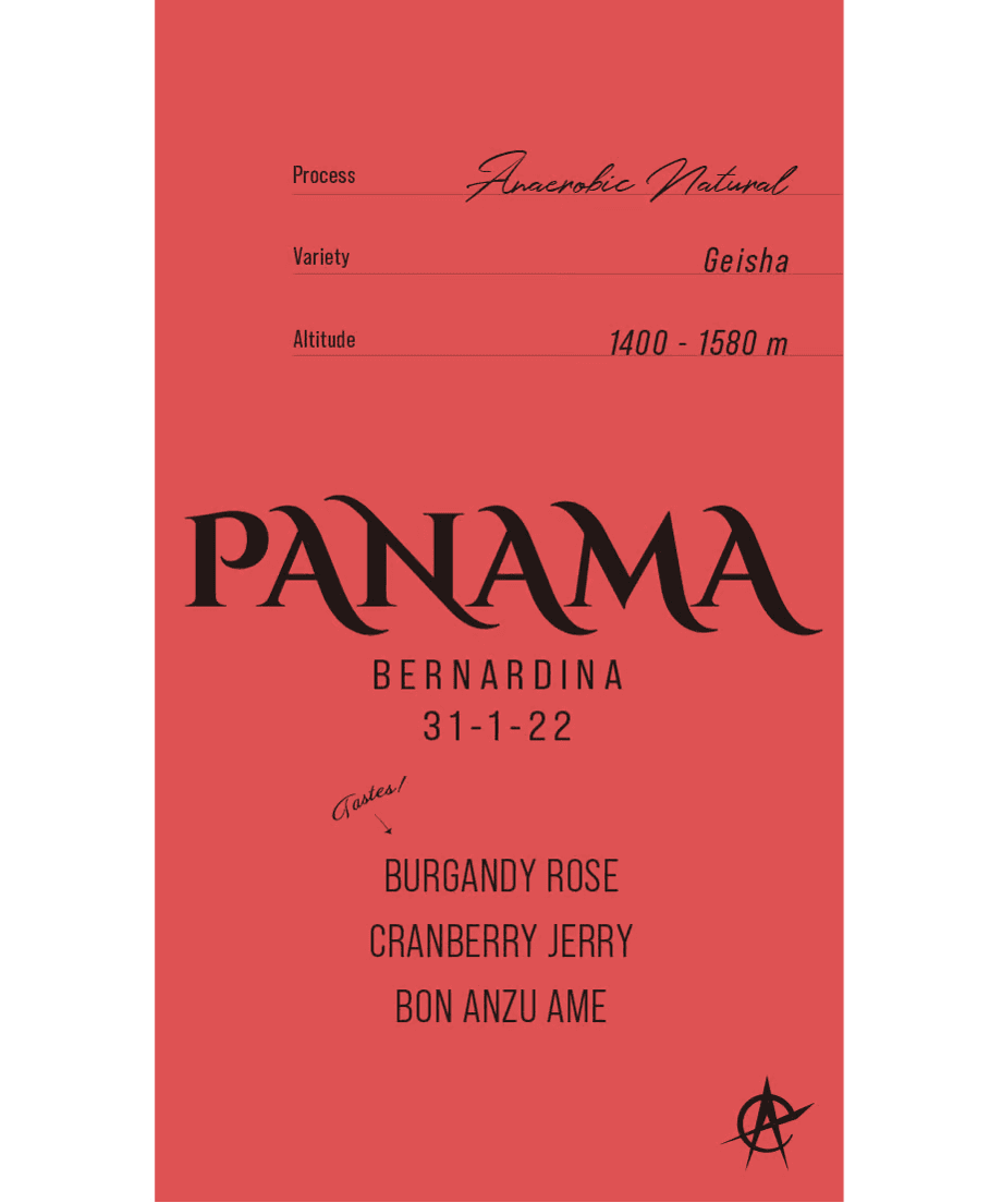 Image of Panama bernardina 31-1-22