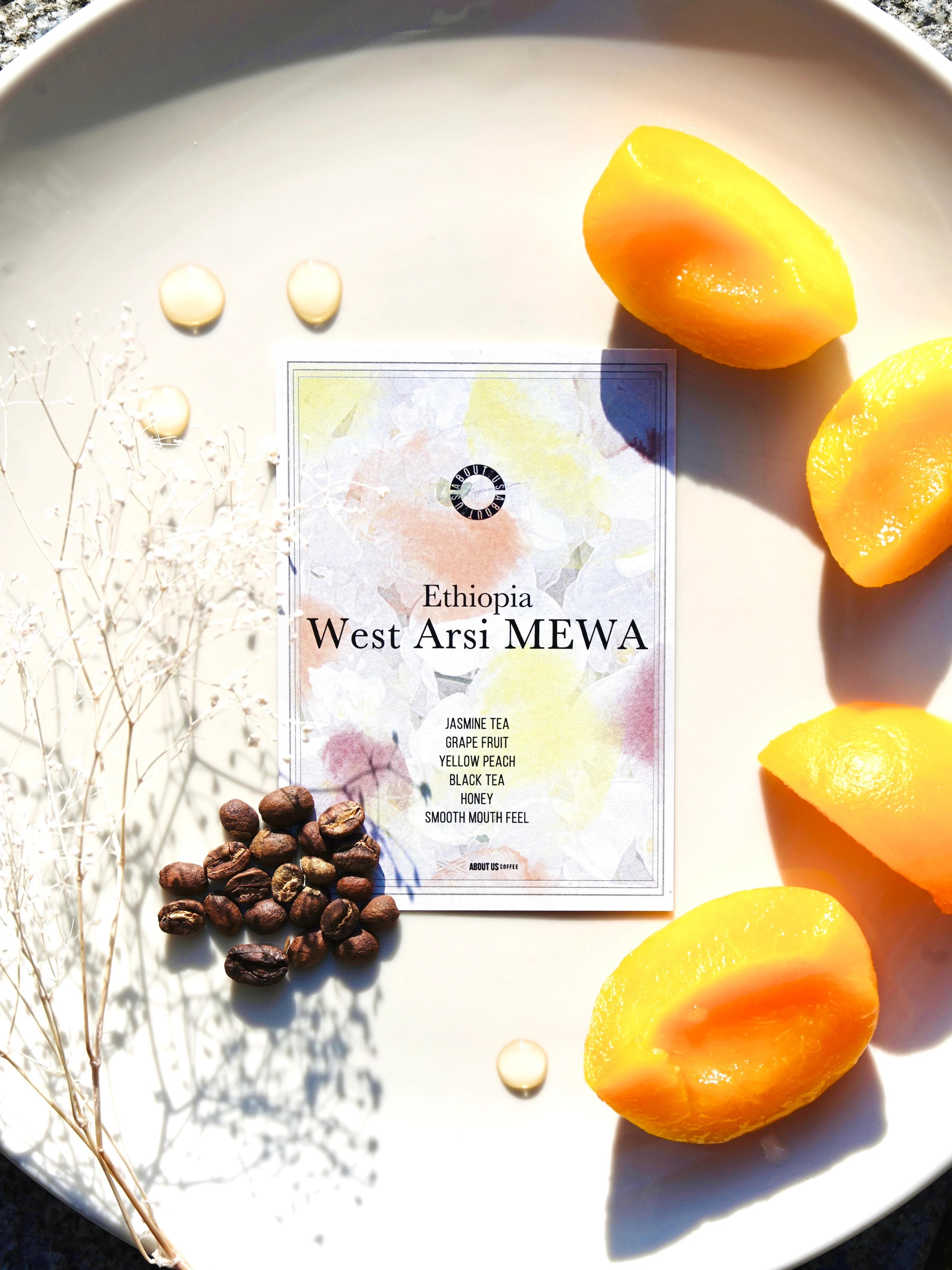 Image of Ethiopia West Arsi MEWA