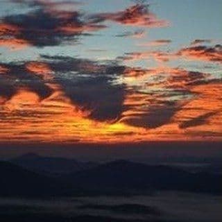 Image of Red Rooster Coffee Roaster 