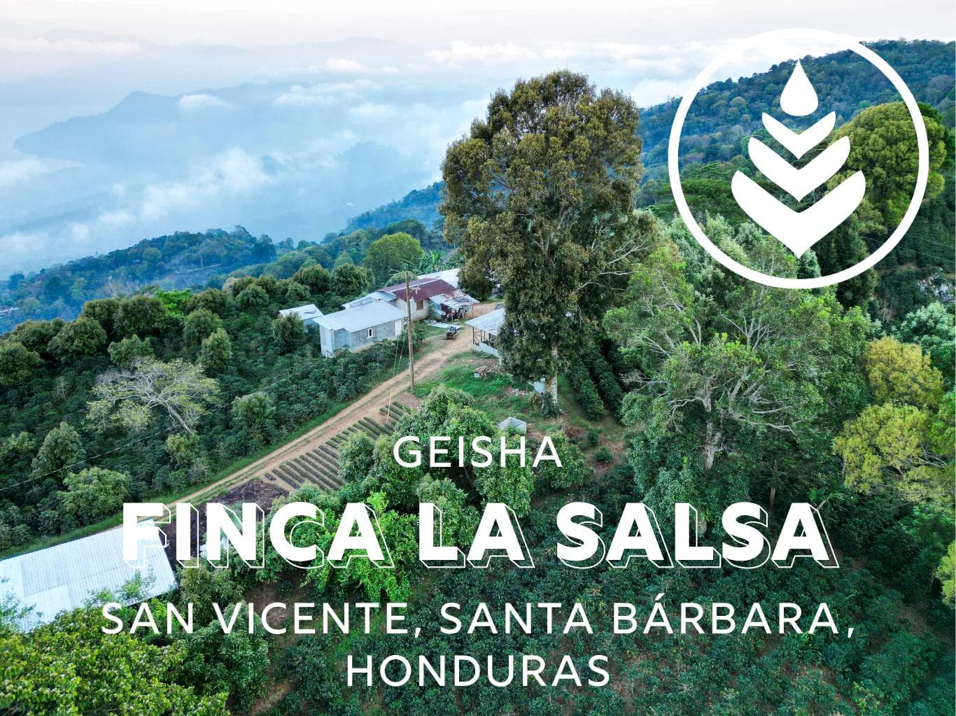 Image of Finca La Salsa