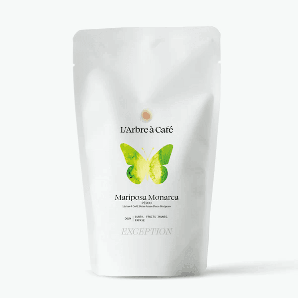 Image of Mariposa Monarca Peru