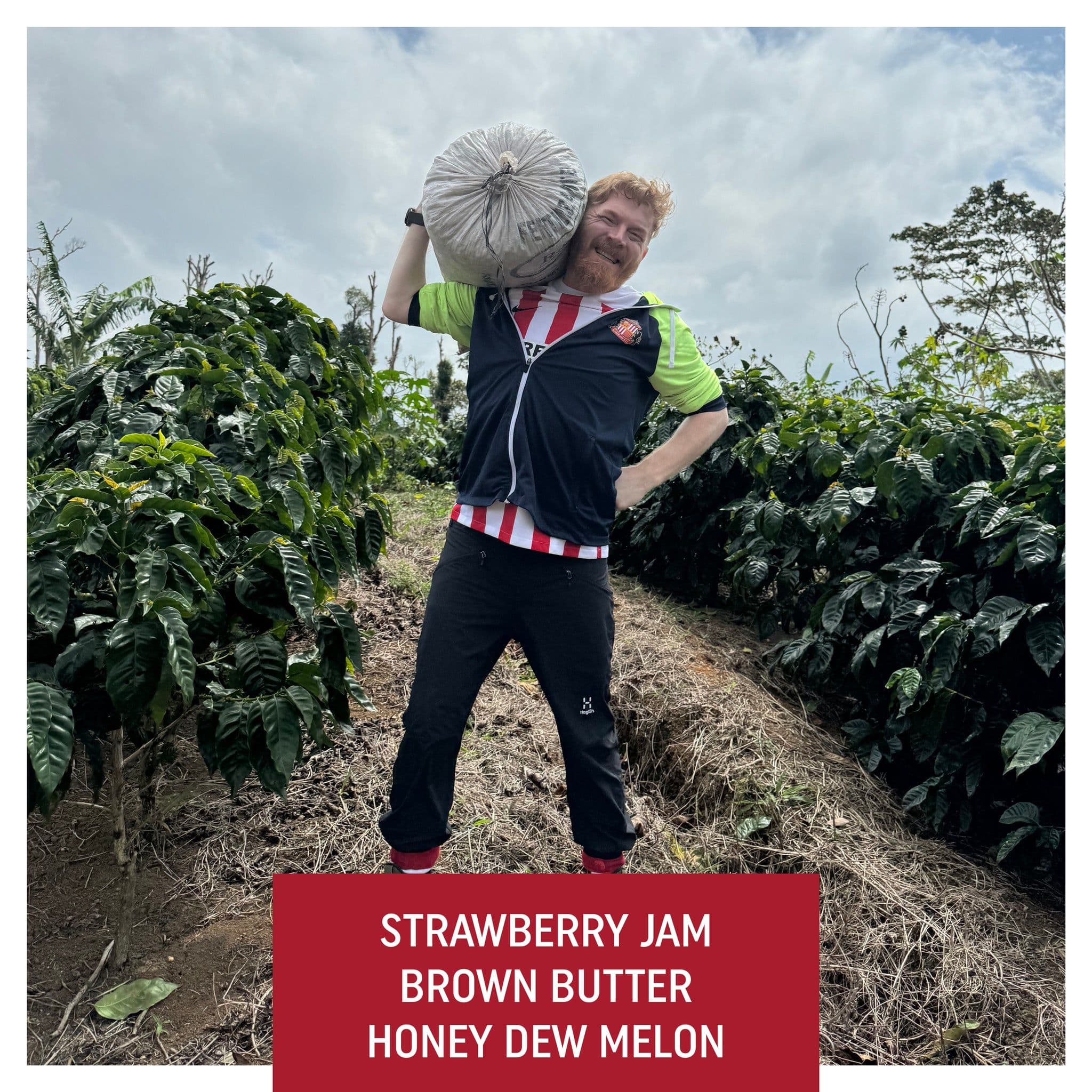 Image of Finca Sunderland Natural H1 Nicaragua