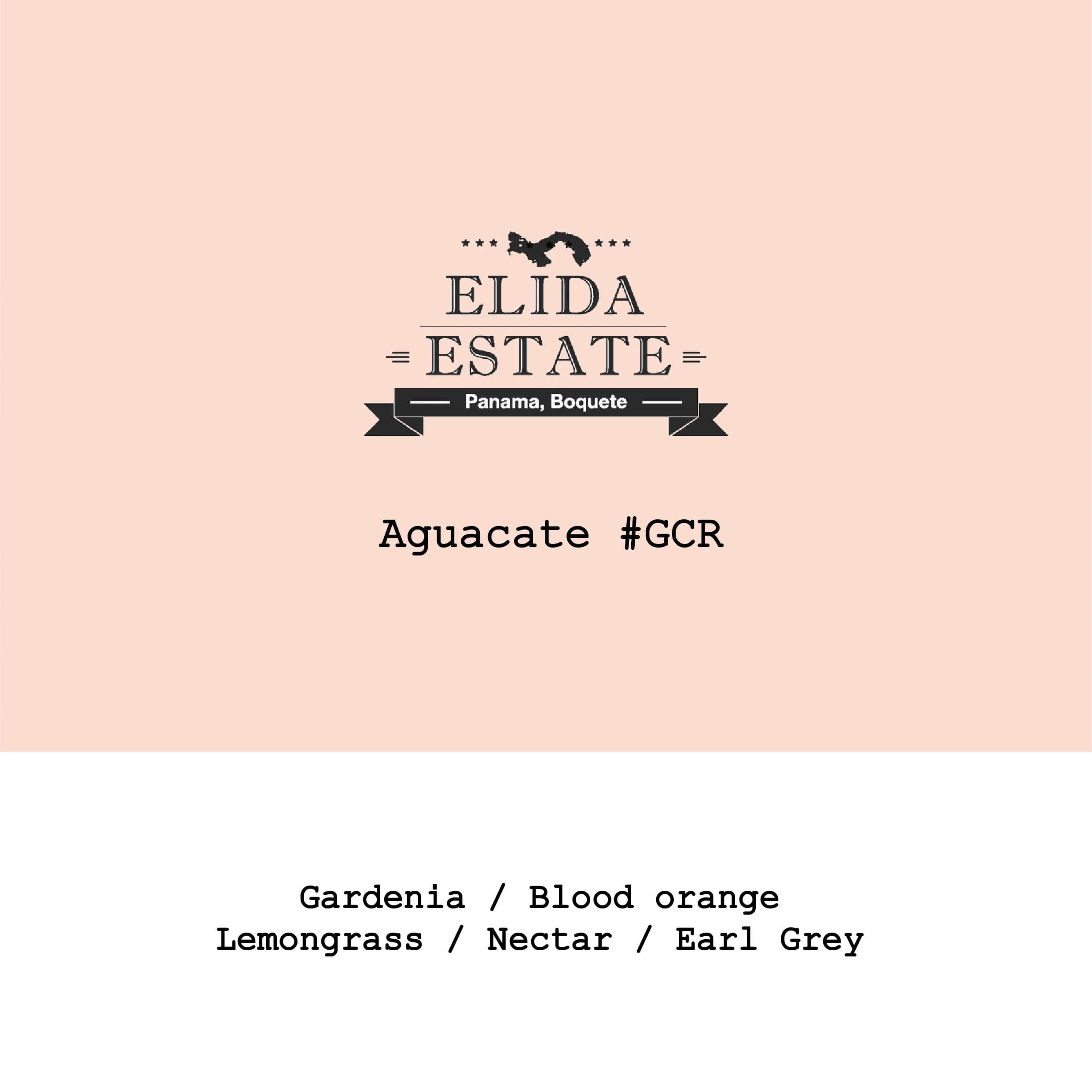 Image of Panama Elida Aguacate Green Tip Geisha Honey