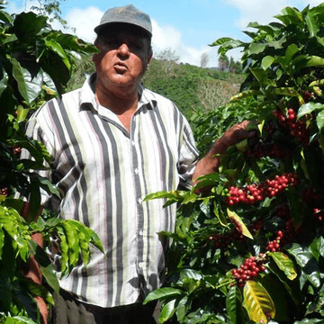 Image of Costa Rica San Cristobal 