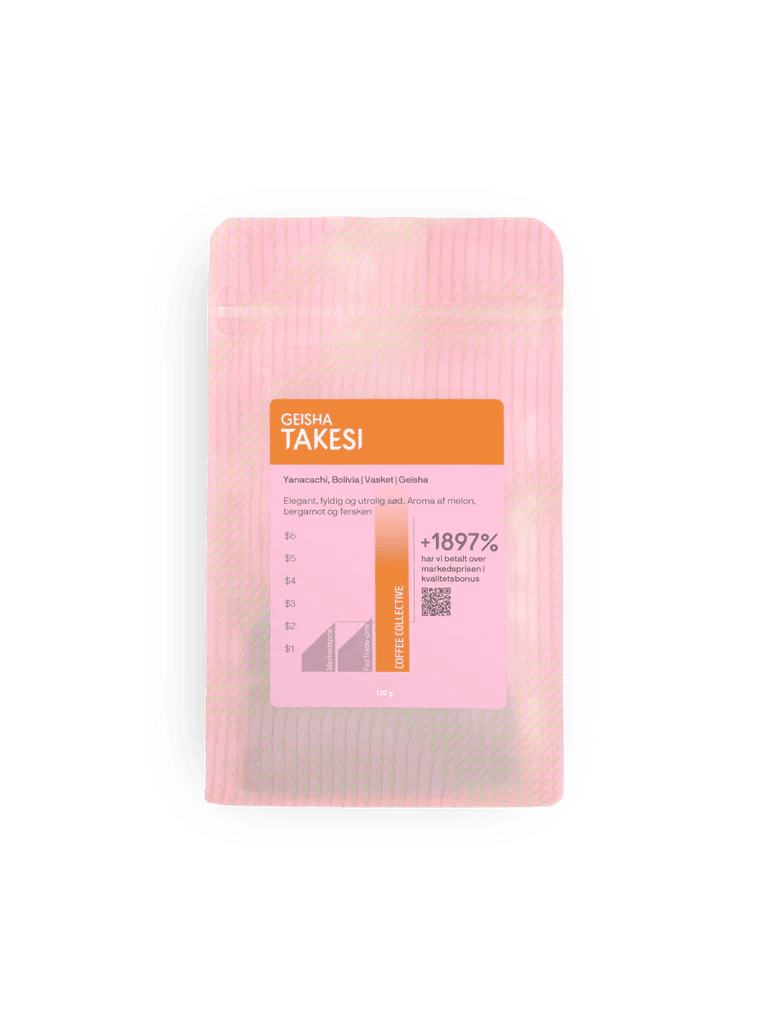 Image of Takesi Geisha