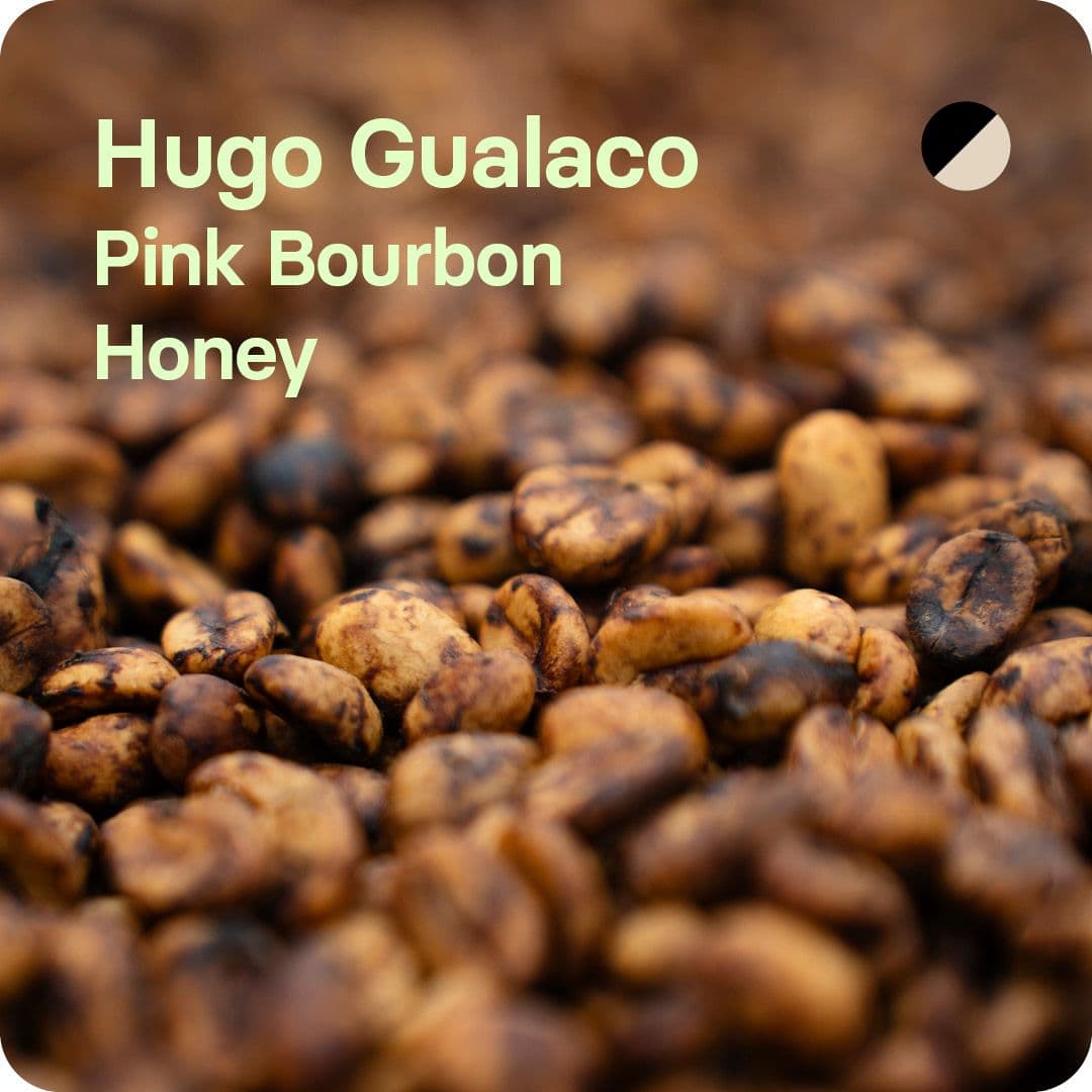 Image of Hugo Gualaco Colombia