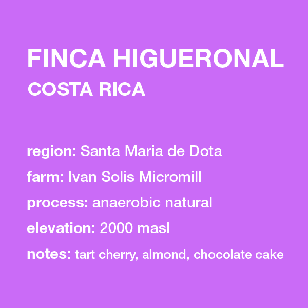 Image of New Costa Rica Finca Higueronal