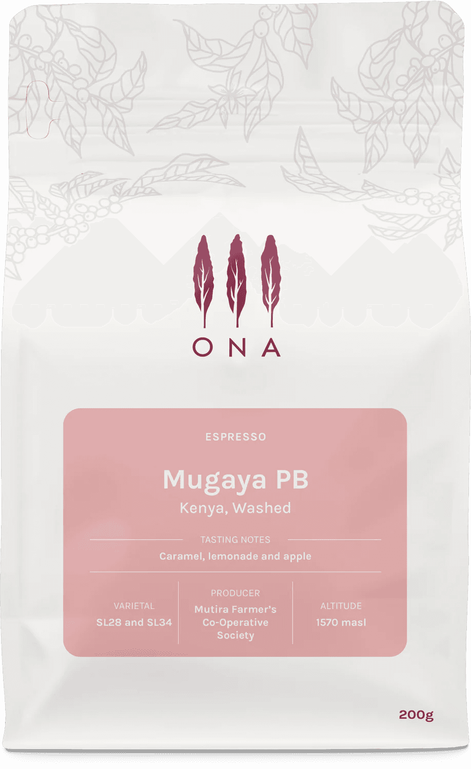 Image of Mugaya PB