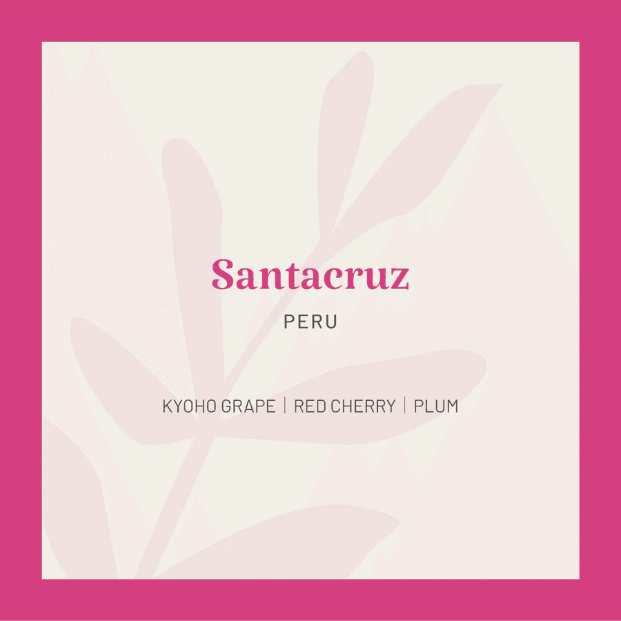 Image of Peru Santacruz