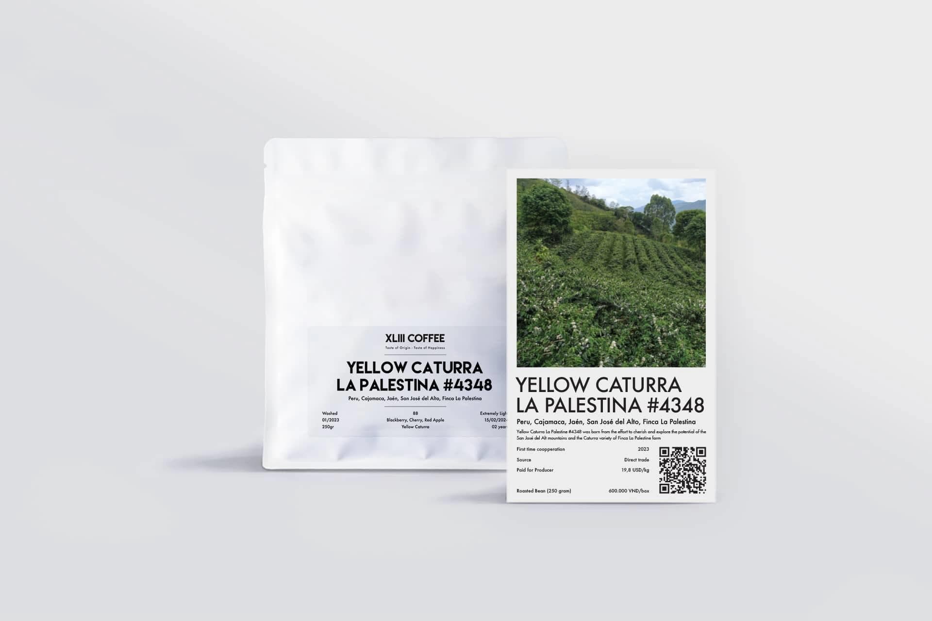 Image of Yellow Caturra La Palestina 4348