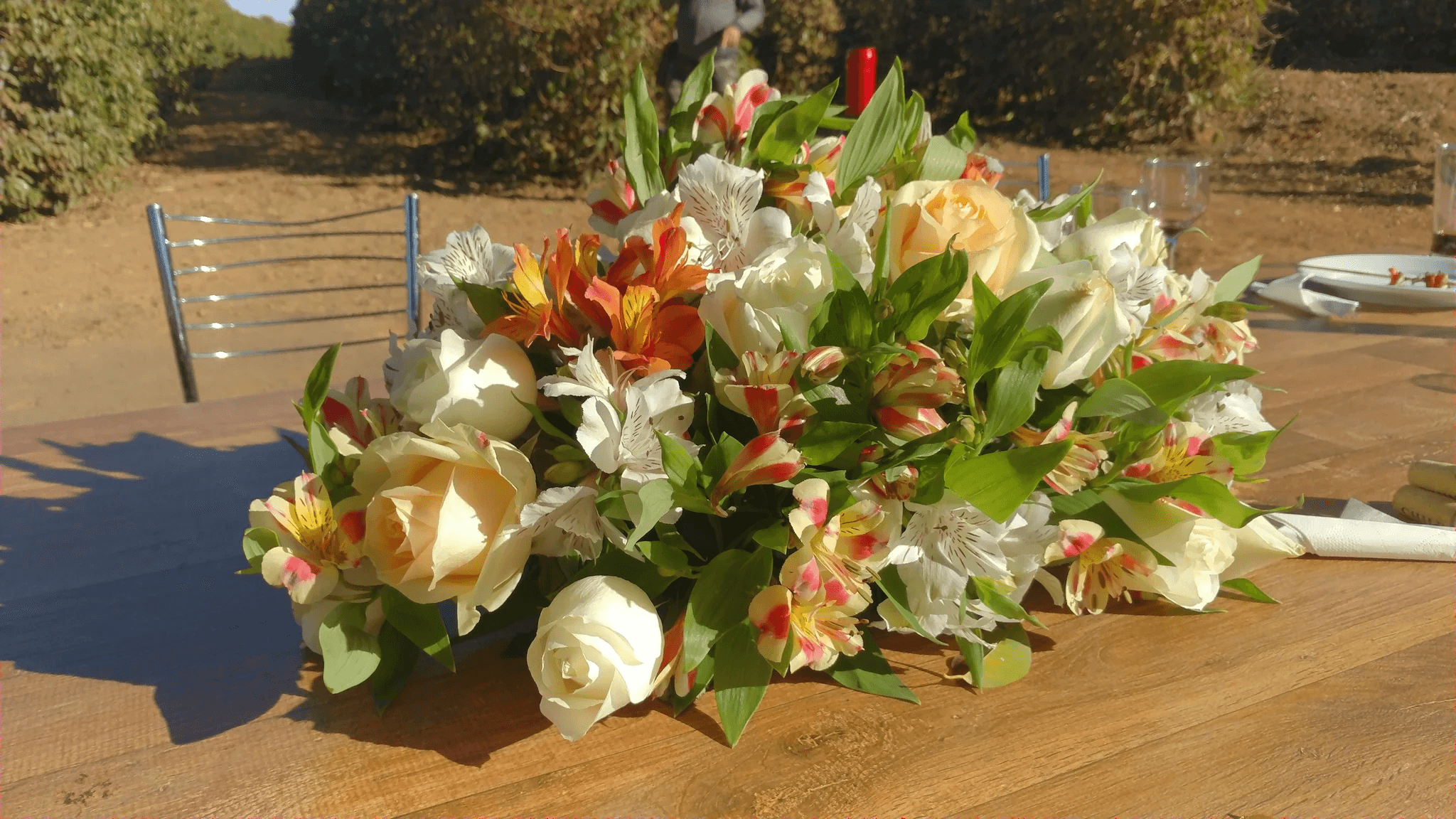 Image of Brazil Santa Rosa Natural