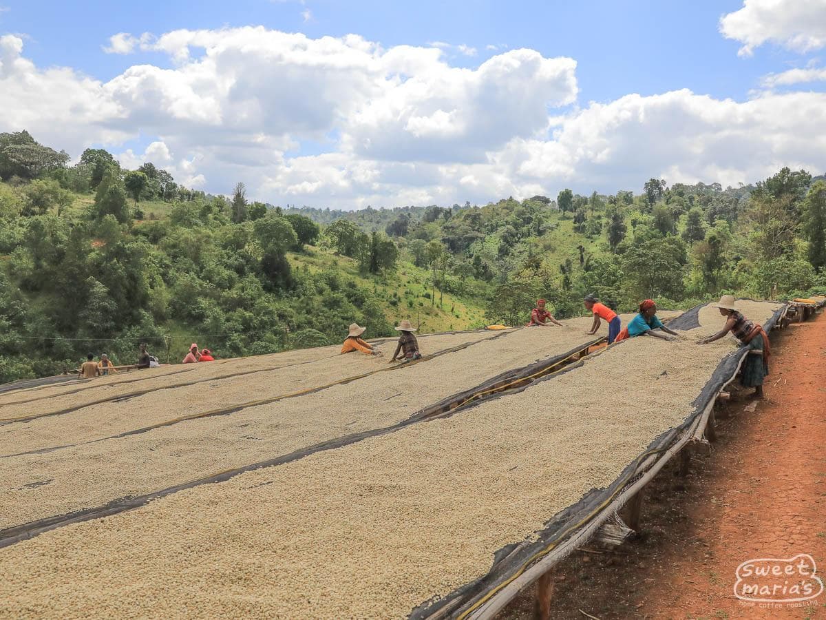 Image of Dabaye Ethiopia