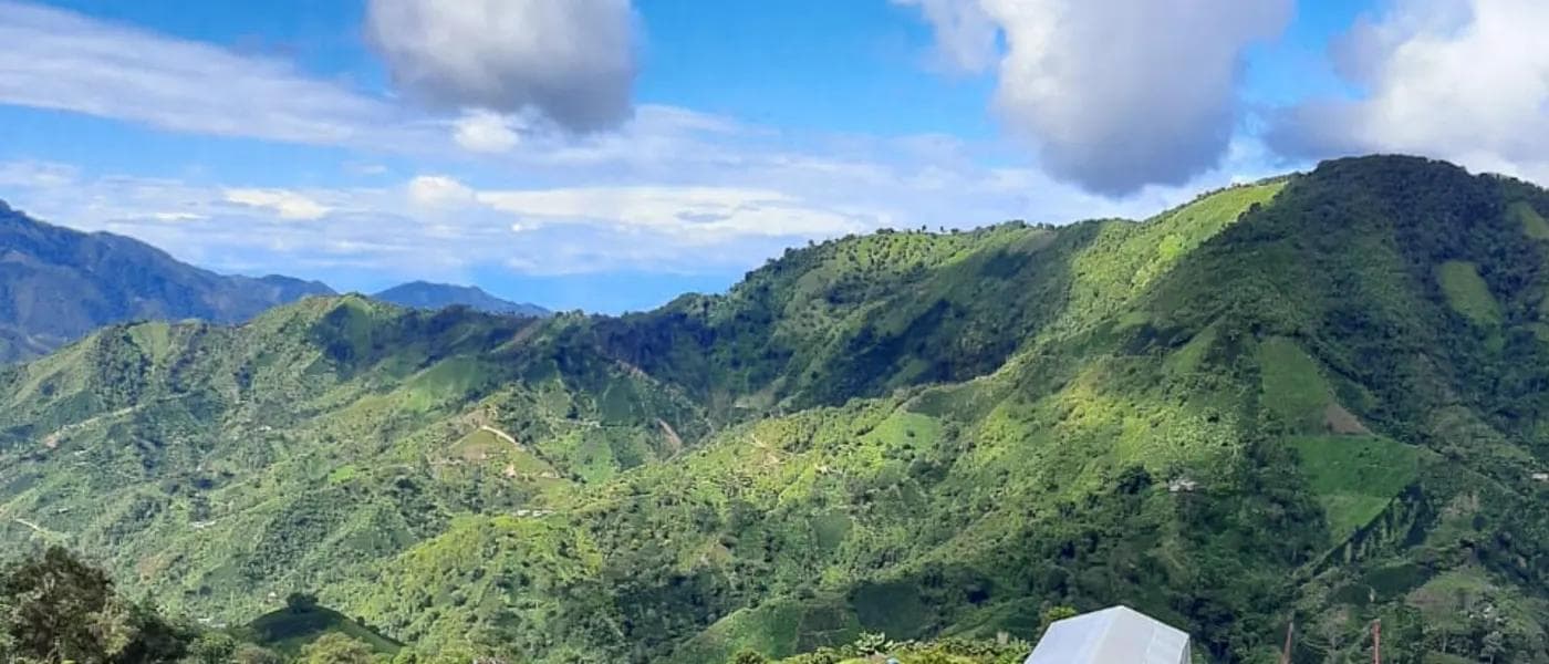 Image of Colombia Faver Ninco  Natural Pink Bourbon