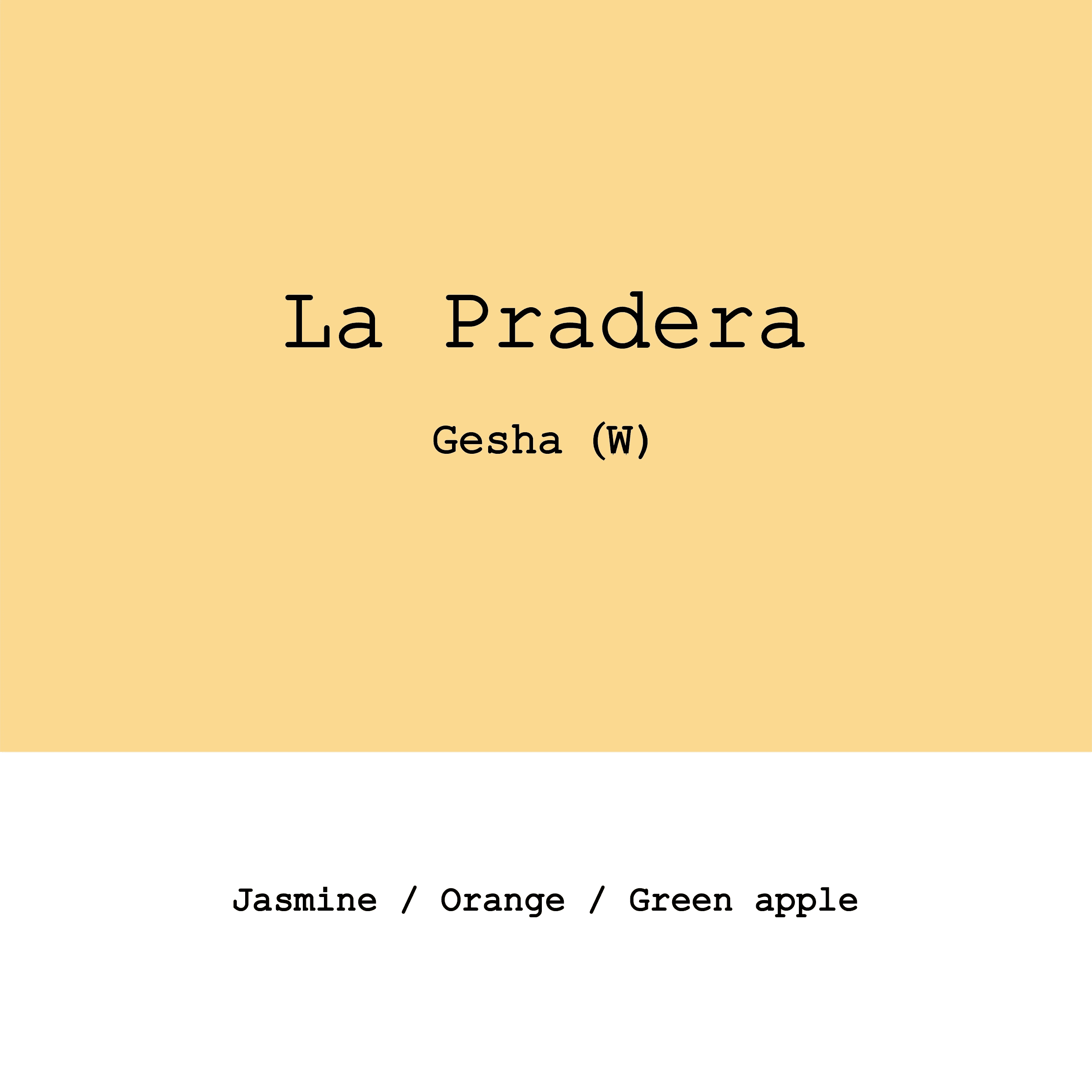Image of New Crop Colombia La Pradera Gesha Washed