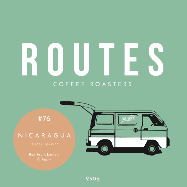 Image of Nicaragua Dipilto Washed