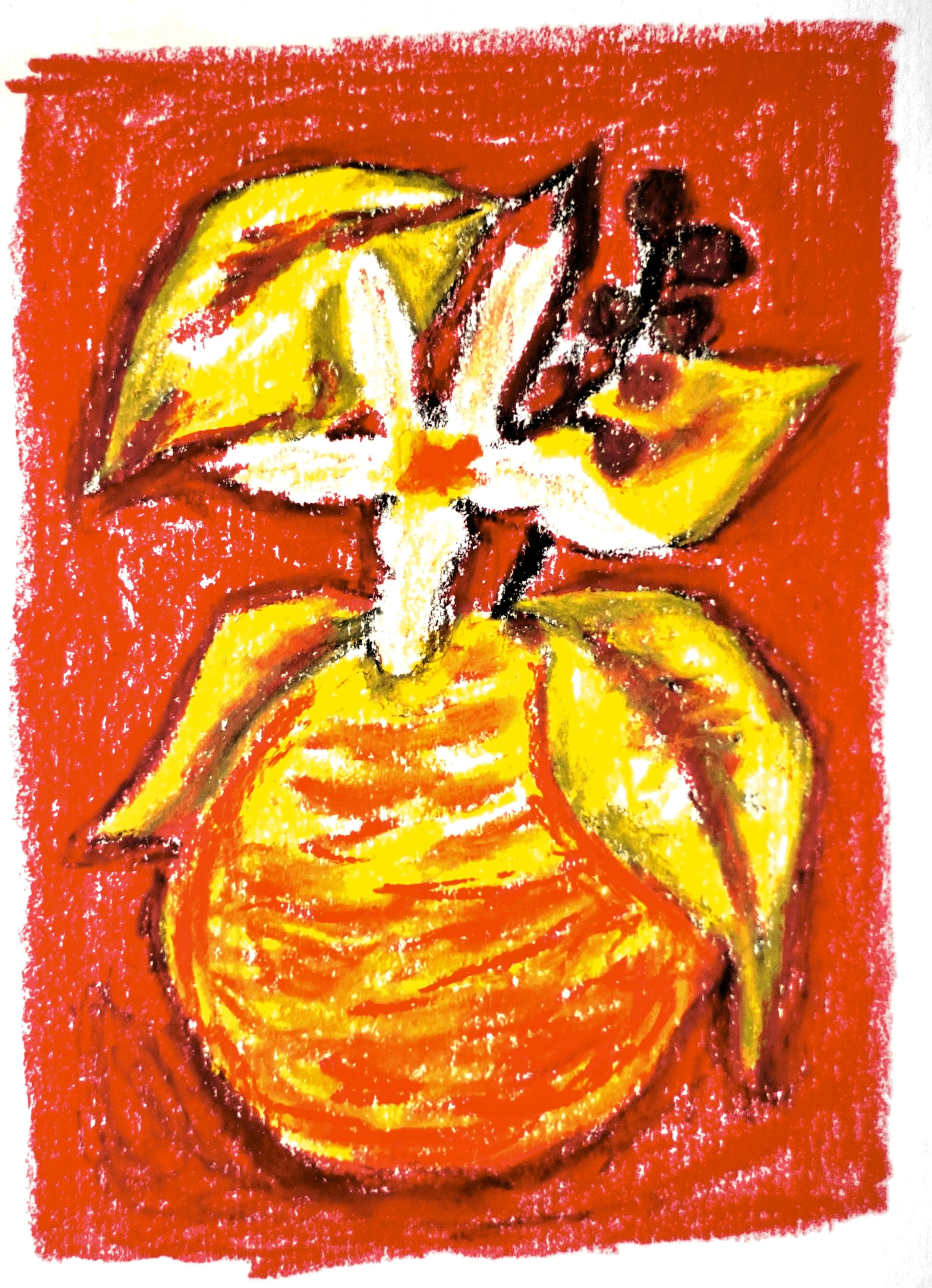 Image of Lot 20 The Lab Anaerobic Natural Orange Co-Ferment Ruiri 11 Batian SL-28 Kenya