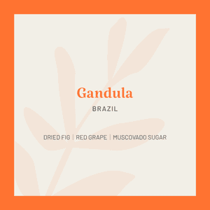 Image of Brazil Gandula