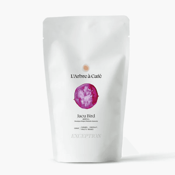 Image of Jacu Bird Brazil