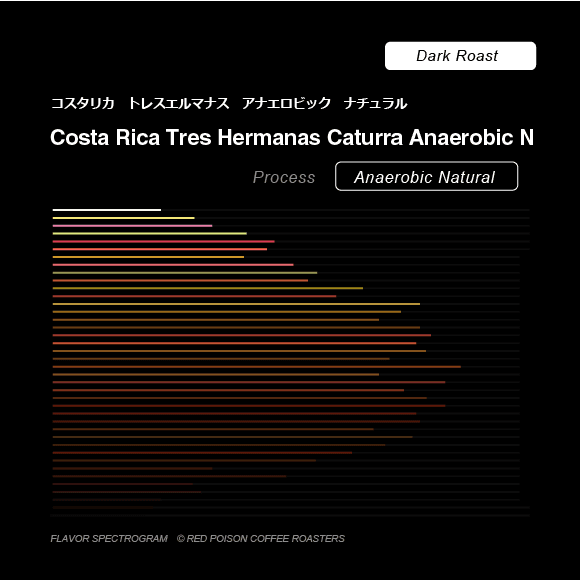 Image of Costa Rica Tres Hermanas Anaerobic Natural