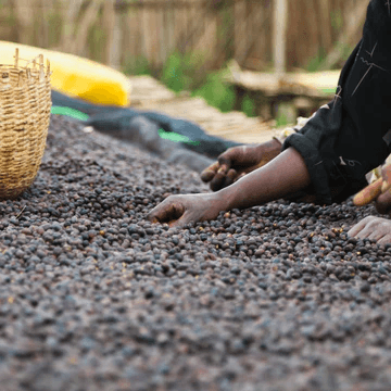 Image of Ethiopia Arsosala