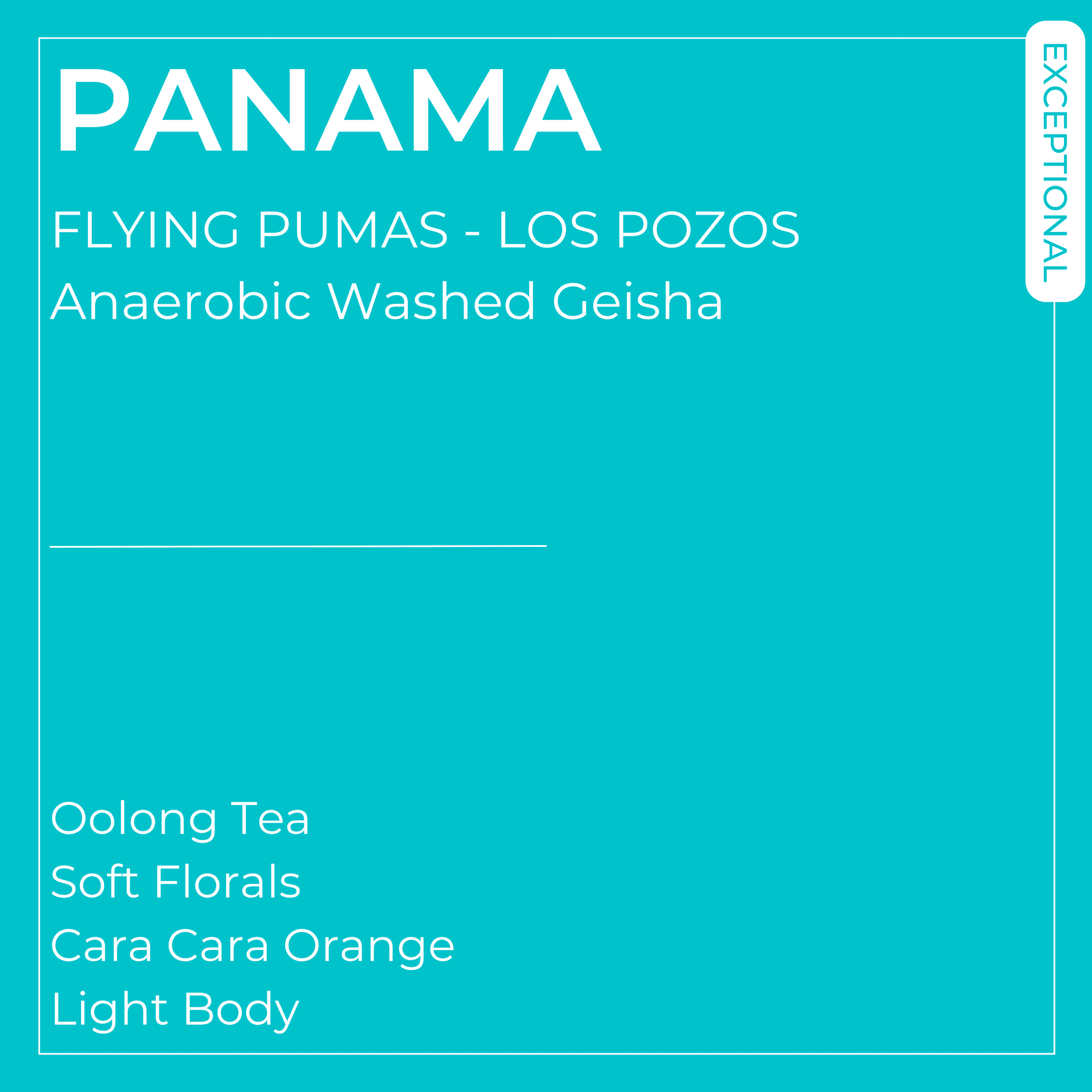 Image of Flying Pumas Los Pozos White faced Capuchin Anaerobic Washed Geisha