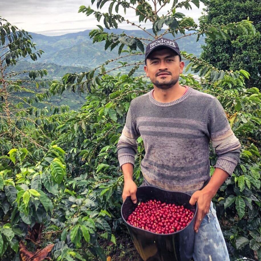Image of Los Nogales Alchemy Chocoberry