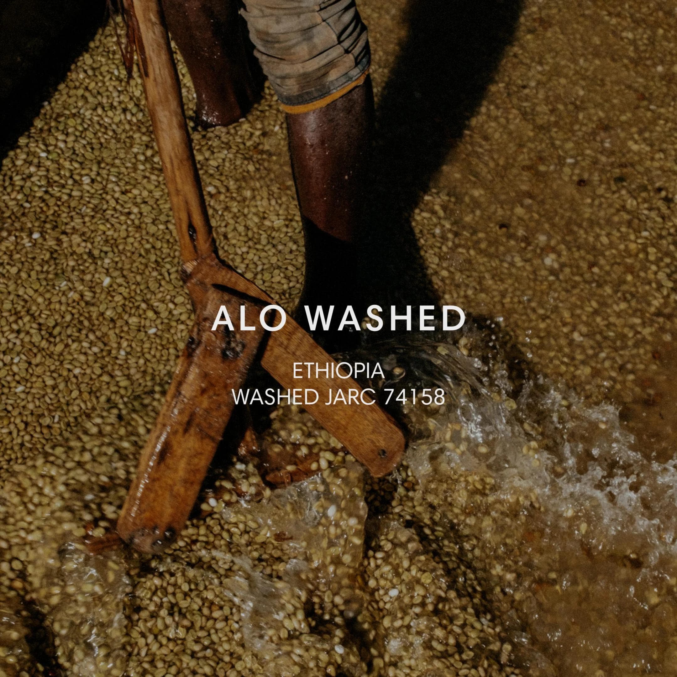 Image of Alo Washed