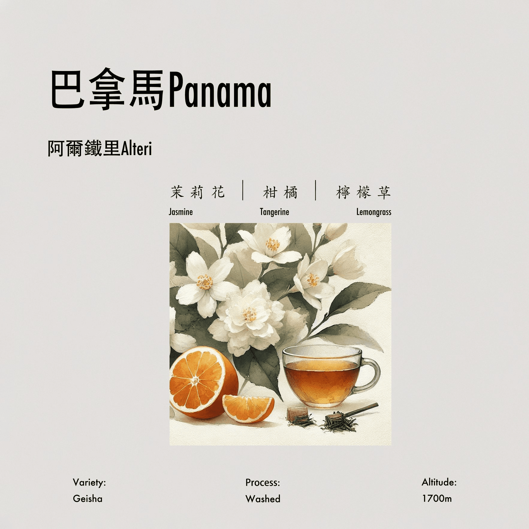 Image of Alteri Washed Geisha