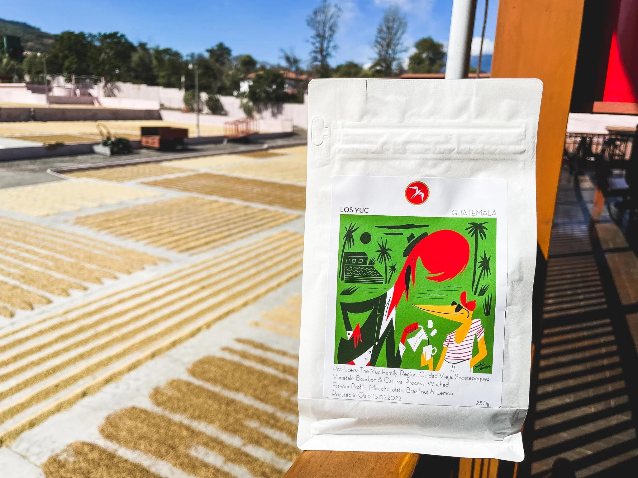 Image of Los / Yuc / Washed / Guatemala